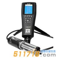 美國YSI ProDSS便攜多參數水質測量儀